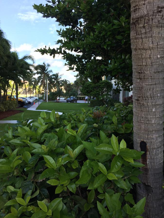 Appartement Ocean Reserve Str-01045 Miami Beach